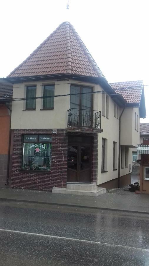 Casa Claudia Hotel Sangeorgiu de Padure Exterior foto